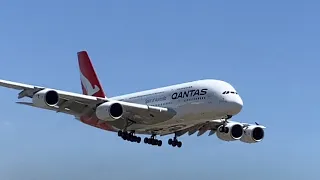 Takeoffs and Landings at LAX! (Plane Spotting)