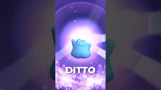 How to Catch SHINY Ditto (MAY 2024)