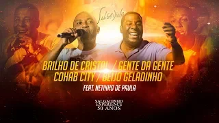 Salgadinho e Netinho de Paula - Brilho de Cristal / Gente da Gente / Cohab City / Beijo Geladinho