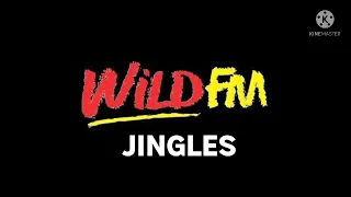 Wild FM Jingle and Bumpers | Radio Jingles and Archives