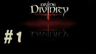 Divine Divinity #1 Деревня целителей... старт игры... квест с исцелительными кристаллами...