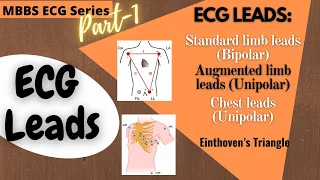 BASICS of ECG LEADS -  ECG Series (Part-1) (1st Year MBBS Physiology)