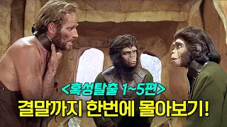 원숭이들이 인간을 "노예"로 부려먹는 세상에서 벌어지는 충격적인 일 ❗ ≪혹성탈출 1~5 몰아보기≫ 혹성탈출4탄 나오기 전에 다시봐도 재밌는 명작 SF영화!! (영화리뷰/결말포함)