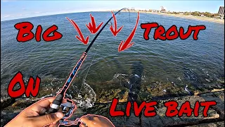 Trouts were blowing up EVERYWHERE! Galveston Tx Seawall