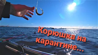 Ловля корюшки с лодки... Питер, дамба юг.