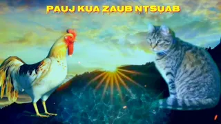 Pauj kua zaub ntsuab kev chim