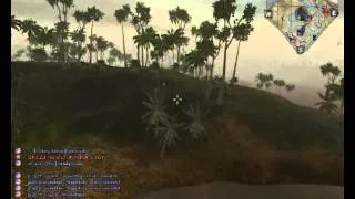 Battlefield Vietnam Surfing Bird