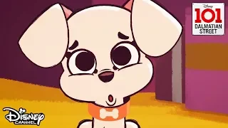 Merry Pups 🐶 | 101 Dalmatian Street | Disney Arabia