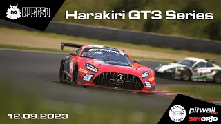 Harakiri GT3 Series - Suzuka