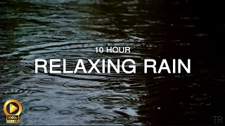 CALM RAIN | 10 Hour Puddle| Meditation | Sleep | Study | Focus | Spa | Calm Ambience | Stress-Relief