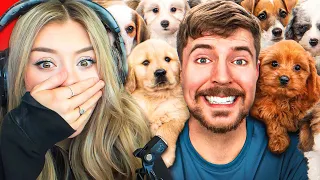 Reacting to Mr Beast - I Rescued 100 Abandoned Dogs!