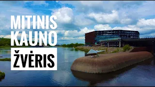 Mitinis Kauno žvėris | Kaunas 2022