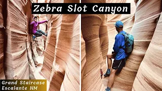 Zebra Slot Canyon // Grand Staircase Escalante National Monument