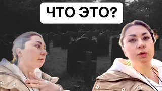 ОБЗОР КАТОЛИЧЕСКОГО КЛАДБИЩА В БЕЛЬГИИ/НАТКНУЛАСЬ НА…МЛАДЕНЦЫ?#vlog #жизньвевропе