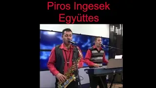 Vajdasági Mulató - Piros Ingesek