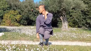 Shaolin Kung Fu Class 13: Shi San Quan