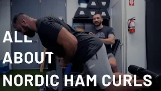 All About Nordic Ham Curls with Bret Contreras