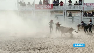 Rupununi Rodeo - Welcome to the Wildside.