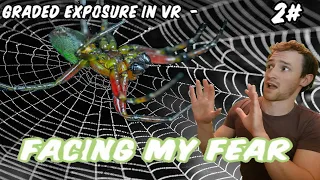 Arachnophobia - How you can overcome your fear of spiders with VR