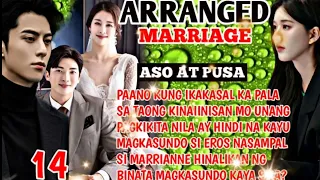 PART14|ARRANGED MARRIAGE ASO AT PUSA EROS BILANG ASAWA SELOSO AT GALIT KAY TUKO