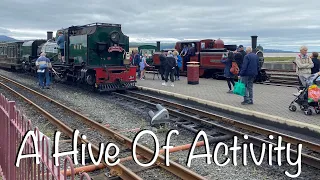 A Hive Of Activity At Porthmadog Station (Ffestiniog & Welsh Highland Railway)