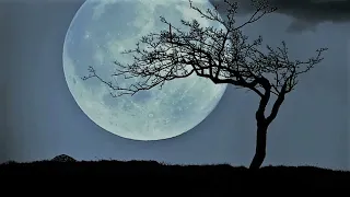 Beethoven - Moonlight Sonata - one hour loop