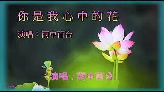 雨中百合【你是我心中的花】