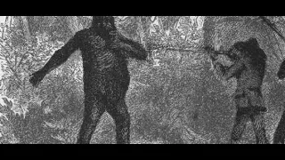 Daniel Boone & The Tale Of The "Giant Man"