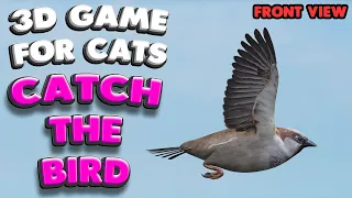 3D game for cats | CATCH THE BIRD (front view) | 4K, 60 fps, stereo sound