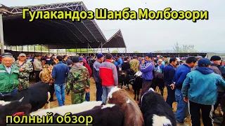 Гулакандоз Шанба Молбозори.Бозор Зур Булди. Полный Обзор.13.04.2023.