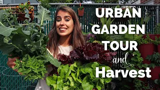 FULL Garden Tour + Harvest | WEEK 2 // Urban Gardening in NYC | May 2022