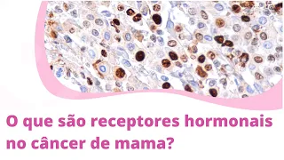 O que são receptores hormonais no câncer de mama?