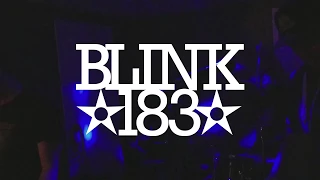 blink-182 -  Dude Ranch (live album cover)