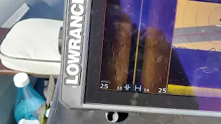 Первый выход с эхолотом Lowrance Elite FS 9