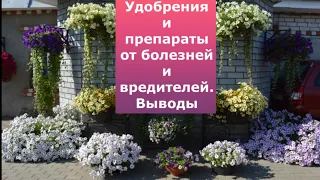 Выводы по удобрениям и препаратам от болезней и вредителей.