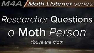 Researcher Questions a Moth Person - Audio Roleplay