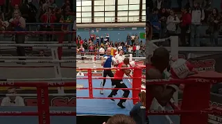 Savate World Final | Feint high, spin kick to middle (head kick).