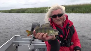 SOMMERBARSCHE lieben DAS - Unser Ziel ist Fisch mit Jörg Ovens