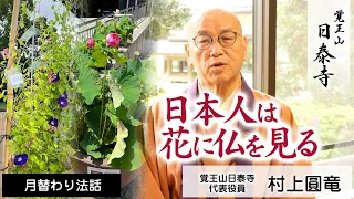 日本人は花に仏を見る | 村上圓竜 | 日泰寺 | 月替り法話