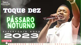 TOQUE DEZ - PÁSSARO NOTURNO / REPERTÓRIO NOVO NOVEMBRO 2023 - Fabrício Atualizações