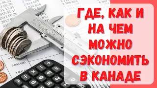 Как экономить в Канаде? Где покупать продукты, одежду, мебель? #канада #жизньвканаде