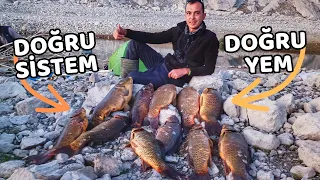 HOW TO CATCH CARP? BIG CARP HUNT