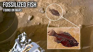 NASA's Mars Curiosity Rover captured these images on Martian surface & Pics from Perseverance Rover