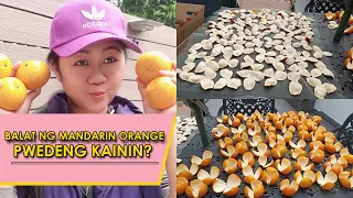 DRIED MANDARIN PEEL | DRIED TANGERINE PEEL,NAKAKAIN? |  HOW TO PEEL THE MANDARIN?