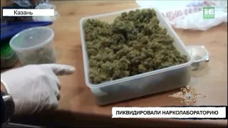 В Татарстане ликвидировали нарколабораторию и изъяли больше 11 килограммов запрещенных веществ - ТНВ
