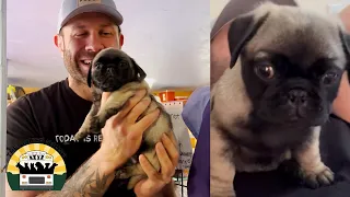 I didn't choose the pug life, the pug life chose me! | Lee Asher