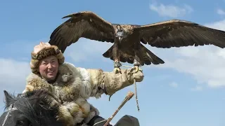 He trains an eagle to hunt in his place