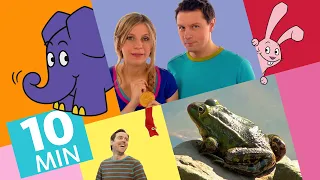 Hallo Elefant - Wie hüpft ein Frosch & Spot Hüpfen mit Elefant und Hase | Der Elefant | WDR