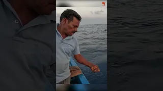 Catching King Fish in the Deep Sea