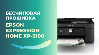 Бесчиповая прошивка Epson XP-3100 | Видеоинструкция